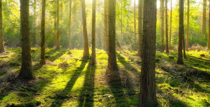 ARDEX's Sustainability Policy