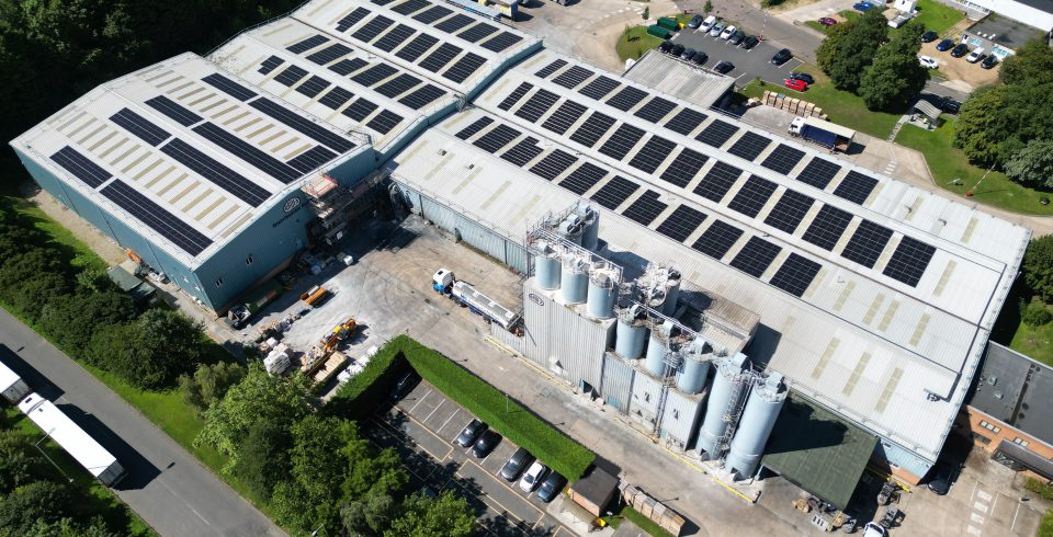 About Ardex - Click to read about ARDEX.